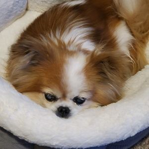 Meet your Posher, Carissa